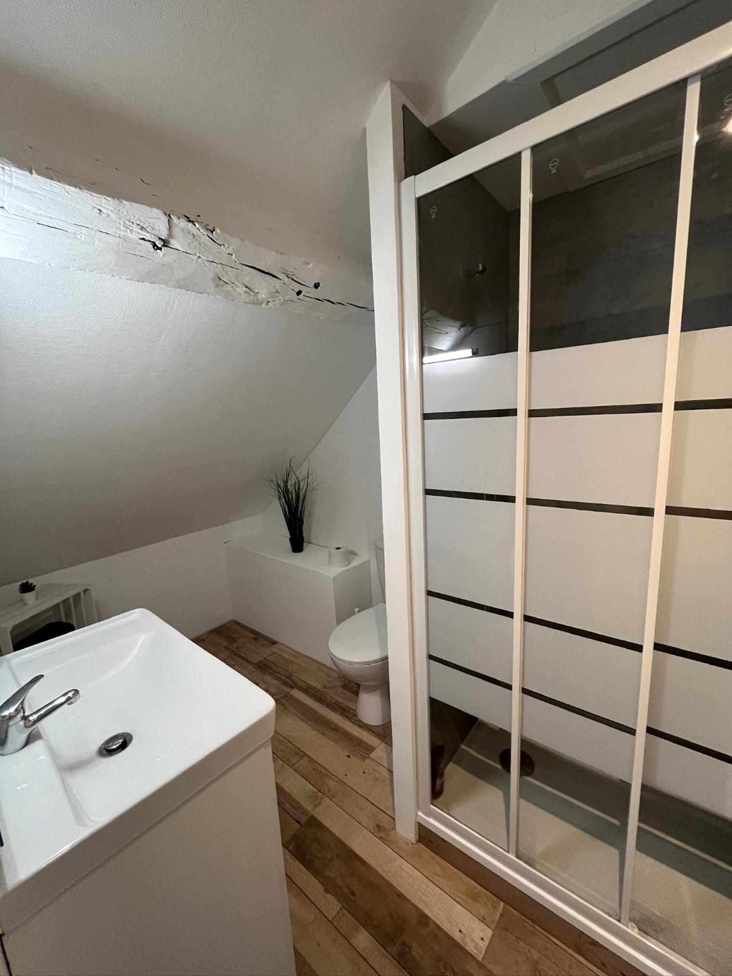 Residence 3 Studios De Charme Dans Centre Proche Cathedrale, Parking Possible A Prox ออร์เลออง ภายนอก รูปภาพ