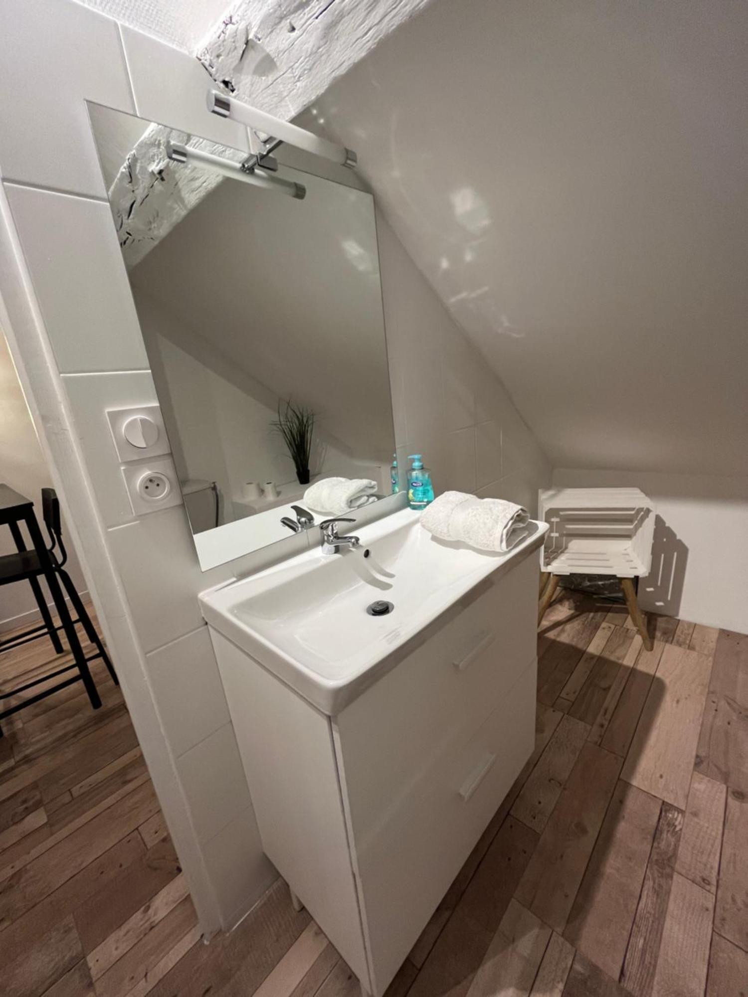 Residence 3 Studios De Charme Dans Centre Proche Cathedrale, Parking Possible A Prox ออร์เลออง ภายนอก รูปภาพ